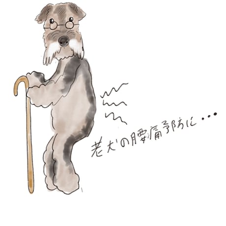温活ドッグコート