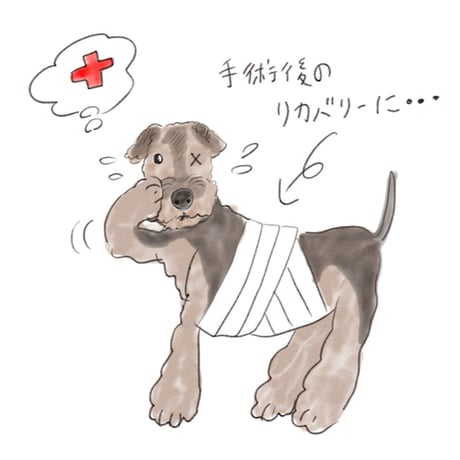 温活ドッグコート
