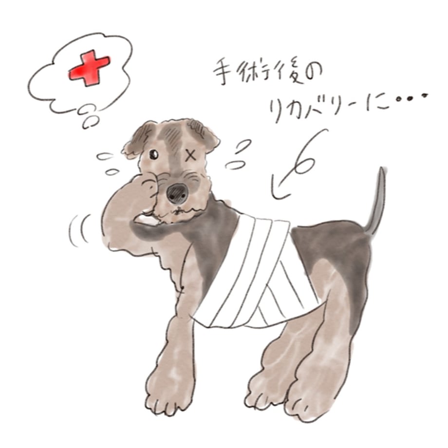 5d7a189cd0f2563f004d23a5
