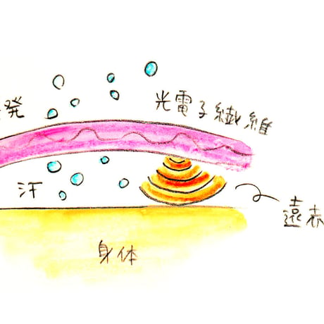 かかとソックス（ 黒/ステッチ3色）