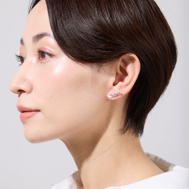 PT900 / PT950 H&C ダイヤモンド ピアス 102708010159 | VER