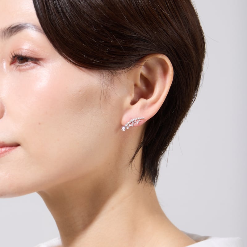 PT900 / PT950 H&C ダイヤモンド ピアス 102708010160 | VER PT900 / PT950 H&C ダイヤモンド ピアス 102708010160 | VER
