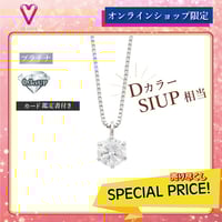 PT850 / PT900 ダイヤモンド ネックレス 118208160024 | VERIT