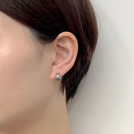 PT900 ピアス 118208160021