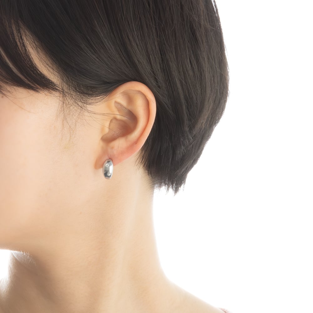 PT900 ピアス 119008160051 | VERITEOnline-Shop｜ラグジュ