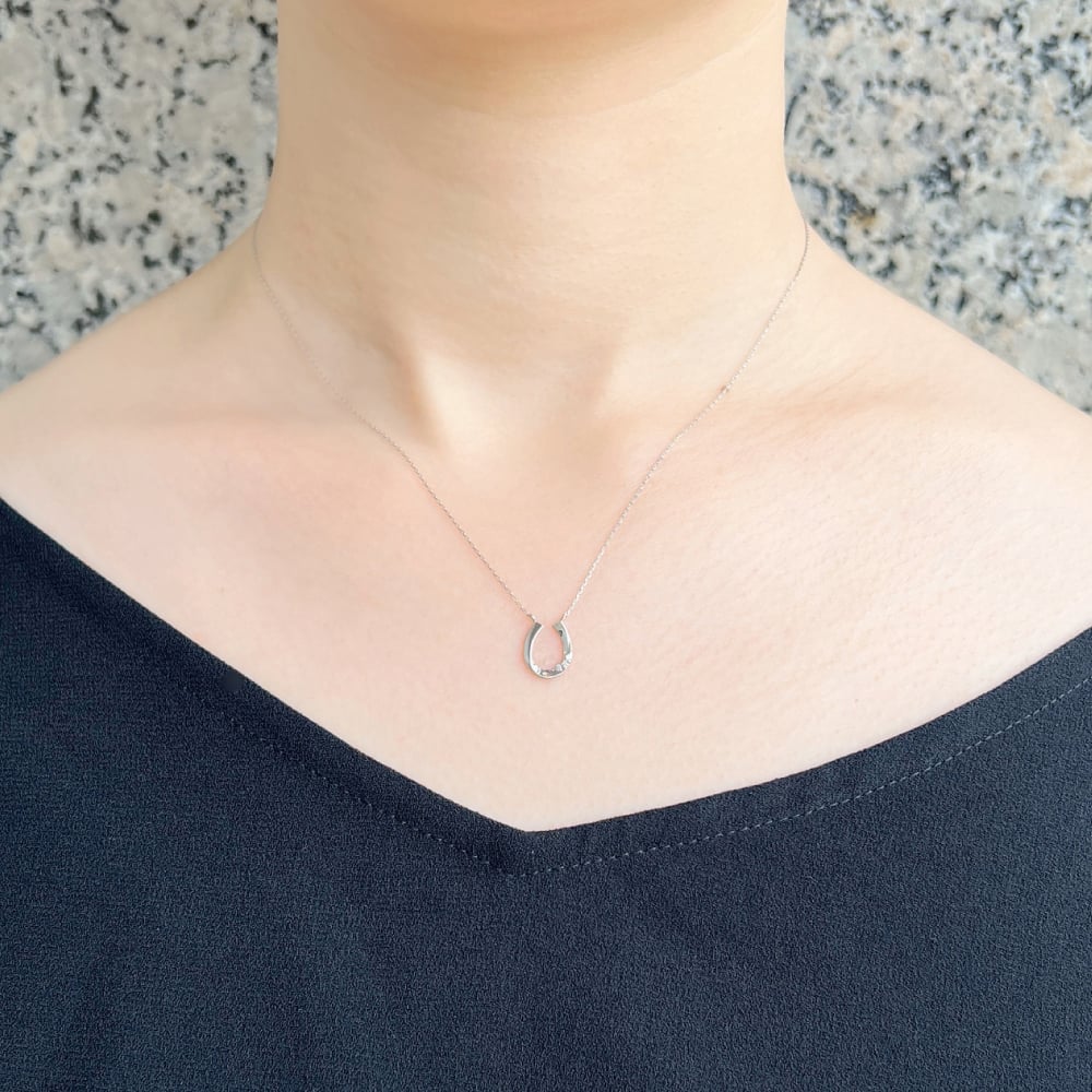 PT850 / 900 ダイヤモンド ネックレス | VERITEOnline-Shop｜ラグ