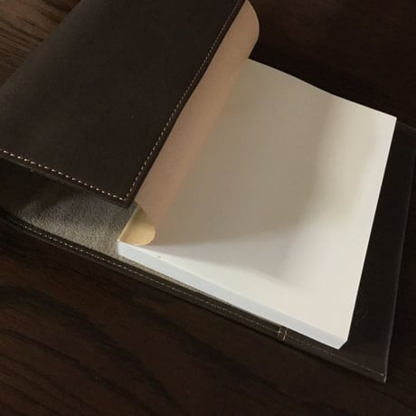 アメリカングローブスムースブックカバー新書版用