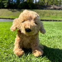 安楽拓也 監修 TA-98☆（柔らかめ） | チーム安楽イベント＆98ゴルフ