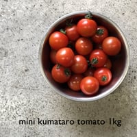 【 ベアーズファーム】 ミニ熊太郎トマト 1kg