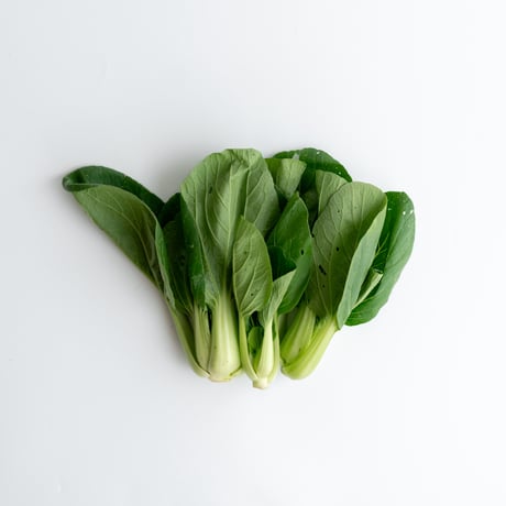 【島根有機野菜】ミニチンゲンサイ