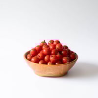 【北海道 よしもりまきば】無農薬 キャロル8 ミニトマト