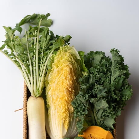 冬の野菜セット M (8~10種類のお野菜)