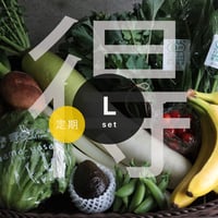 定期配送 Lセット(9~11種類のお野菜とおすすめグロッサリー)