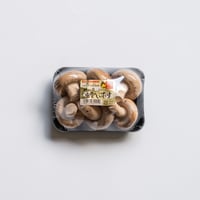 【島根県産】出雲椎茸 小