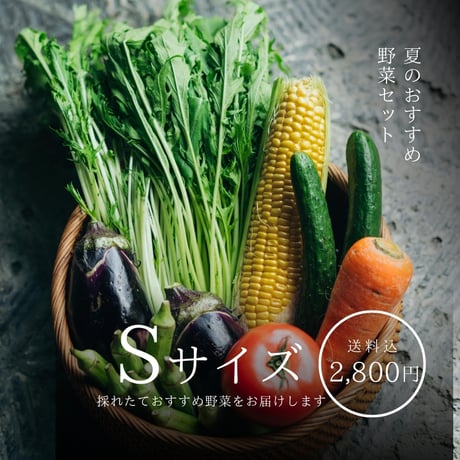 冬のお野菜セット S  (5〜7種類のお野菜)