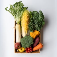 冬の野菜セット M (8~10種類のお野菜)