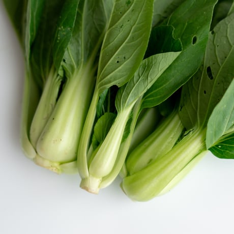 【島根有機野菜】ミニチンゲンサイ