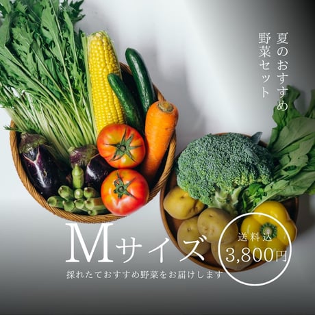 冬の野菜セット M (8~10種類のお野菜)