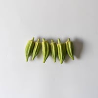 【奈良】中原さん 無農薬 ダビデの星 オクラ 100g