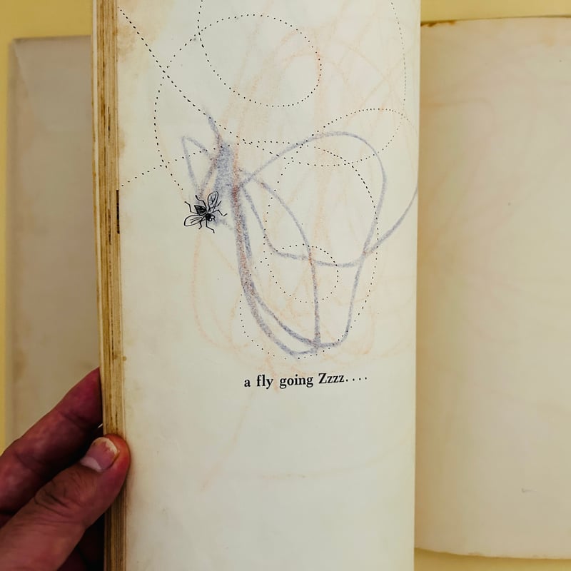BRUNO MUNARI's ABC | 誠光社 通信販売