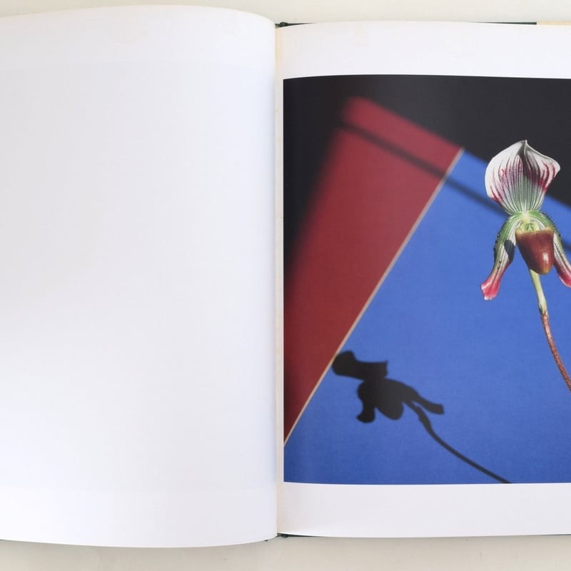 FLOWERS MAPPLETHORPE | 誠光社 通信販売