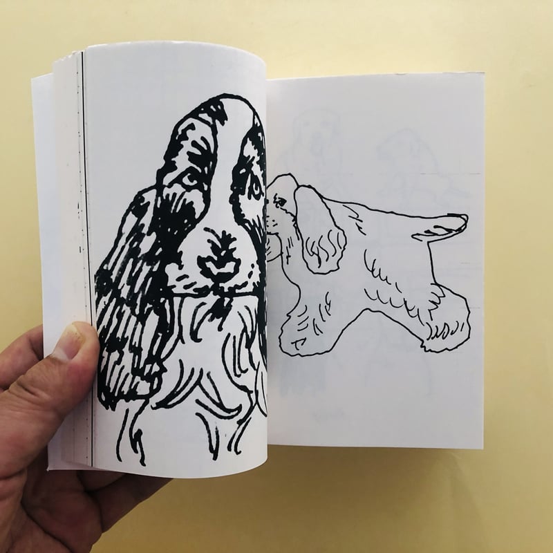 【真作】掛軸　和の情緒あふれる犬の図　愛らしさと静寂　合箱入　P159 真作】掛軸和の情緒あふれる犬の図愛らしさと静寂合箱入P159