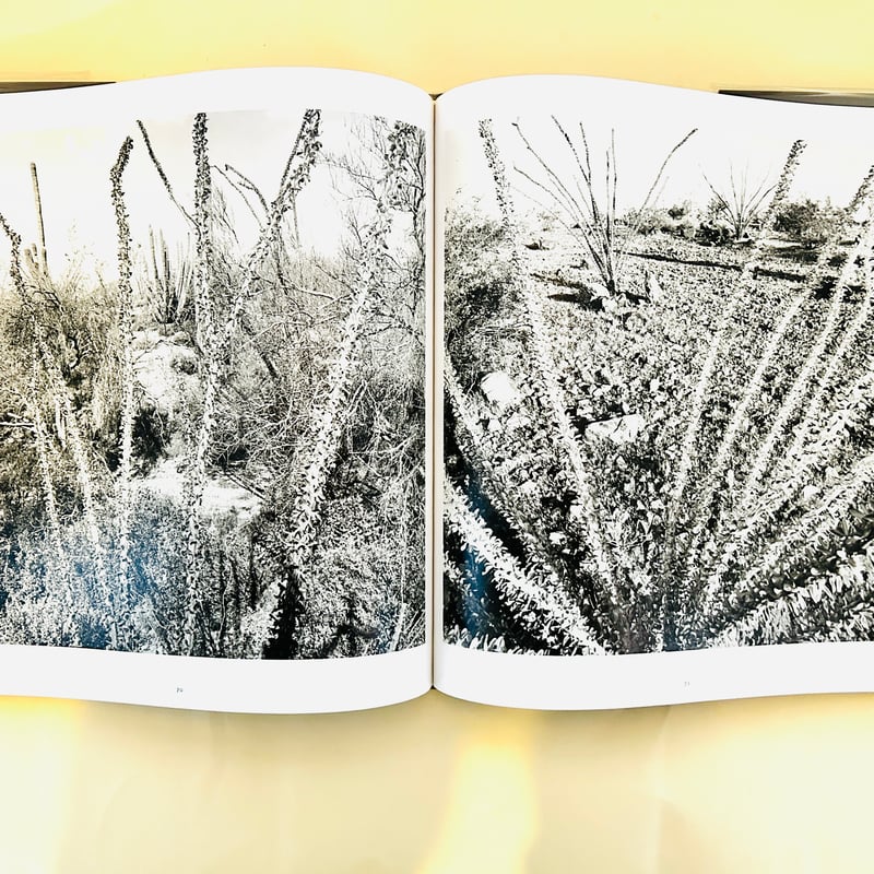 【The Desert Seen】Lee Friedlander　未読、美品 Lee Friedlander: The Desert Seen | Fraenkel Gallery