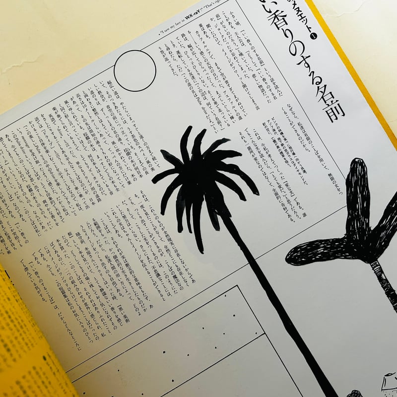 季刊［ダヴレクシー］創刊準備号 | 誠光社 通信販売