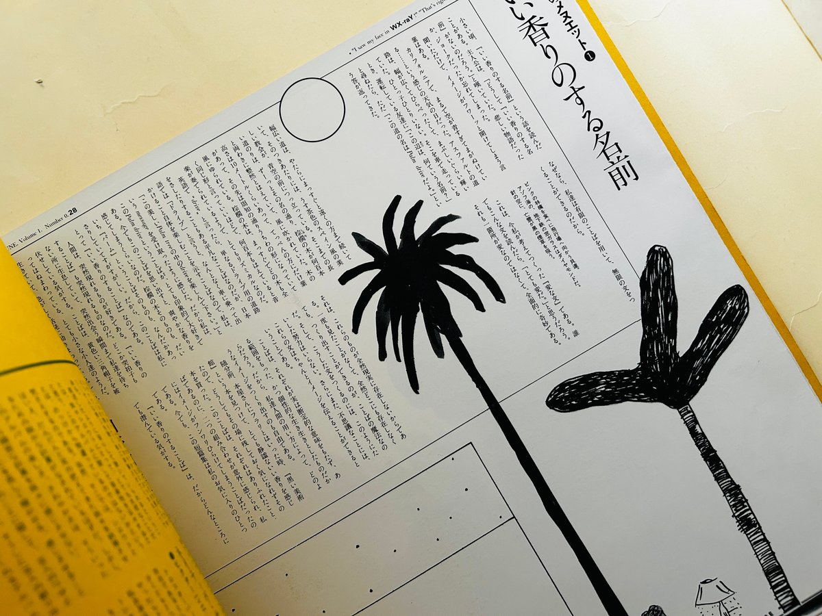 季刊［ダヴレクシー］創刊準備号 | 誠光社 通信販売