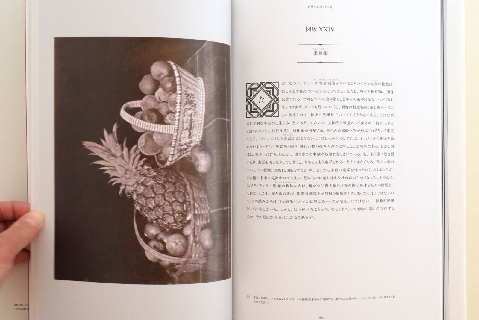 自然の鉛筆 | 誠光社 通信販売