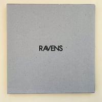 アート・デザイン・音楽 NO STRAY DOT SHINGO HIKAMI NO STRAY DOT | 誠光社 通信販売