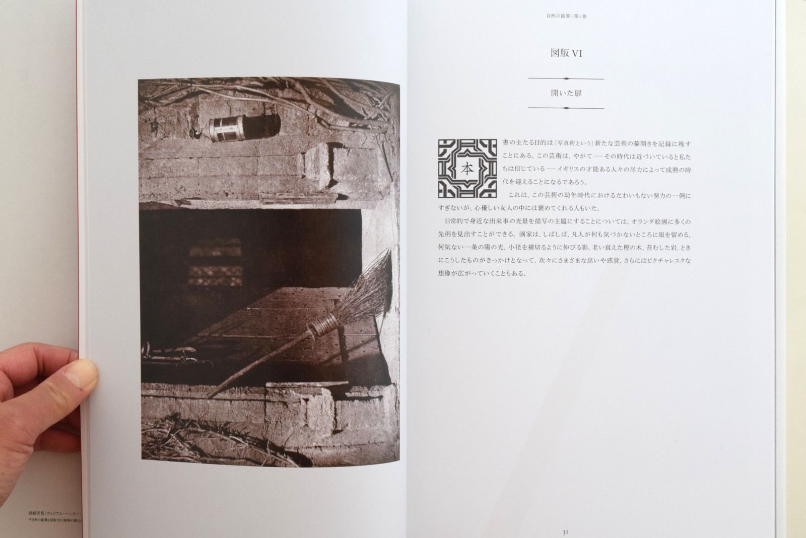 自然の鉛筆 | 誠光社 通信販売