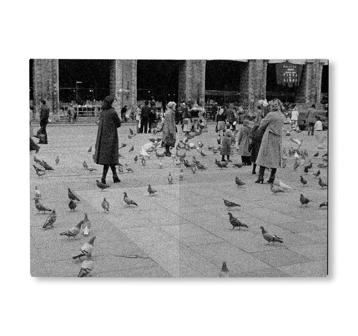 サイン本〉FIRST TRIP TO BOLOGNA 1978 / LAST TRIP TO