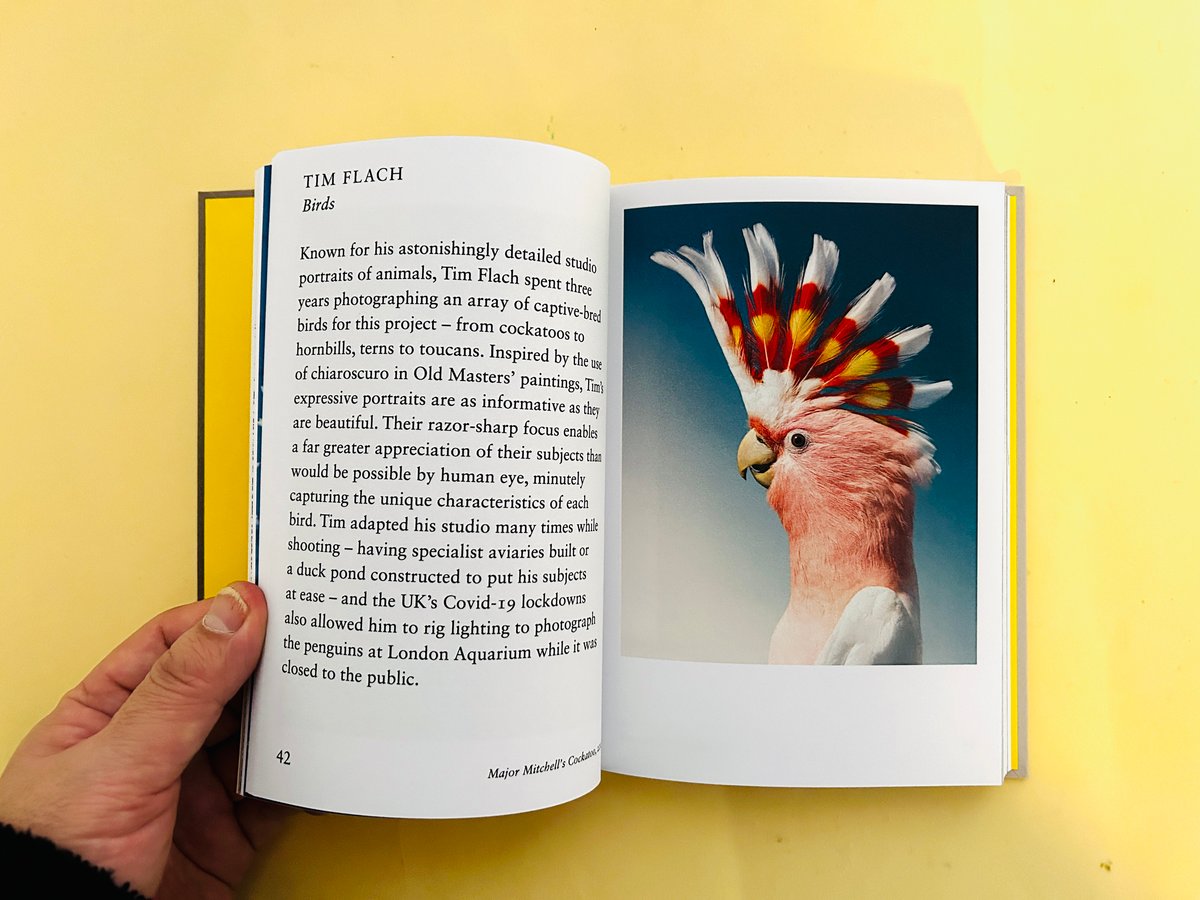 Byung-Hun Min 「 Des Oiseaux 」鳥の写真集　風景　自然 Byung-Hun Min 「 Des Oiseaux 」鳥の写真集 風景 自然 - メルカリ