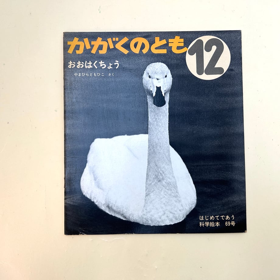 654750c49c8b6214b35c1ae5