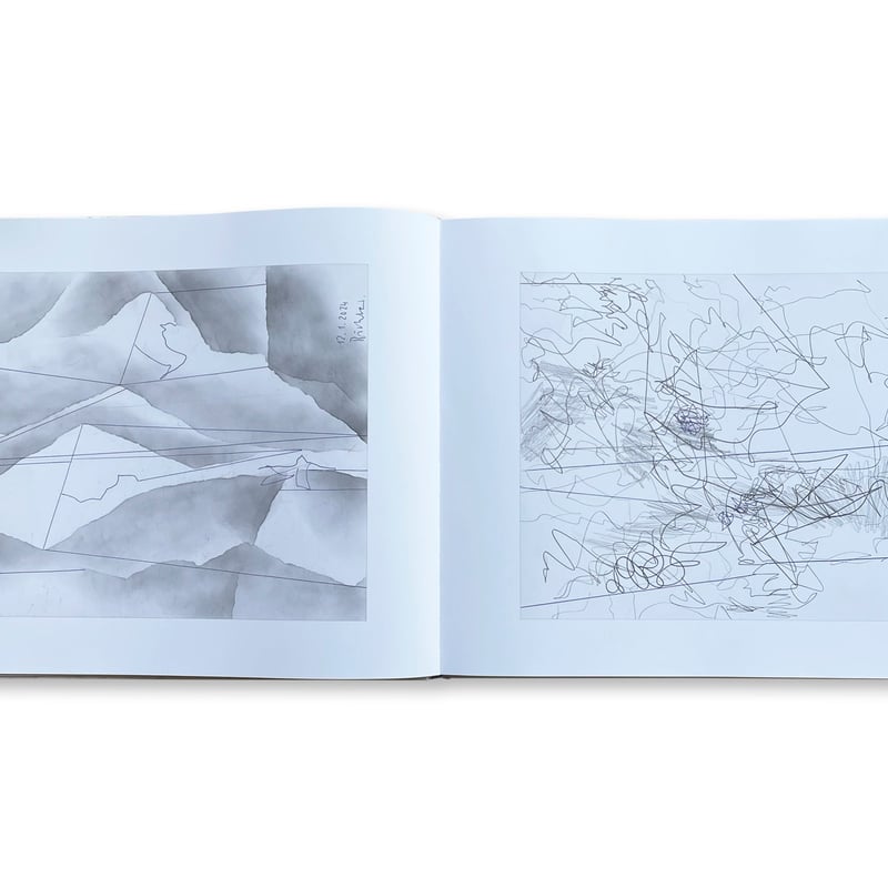 【希少品】ゲルハルトリヒター　オーバーペインティド　フォトグラフス ゲルハルト・リヒター展