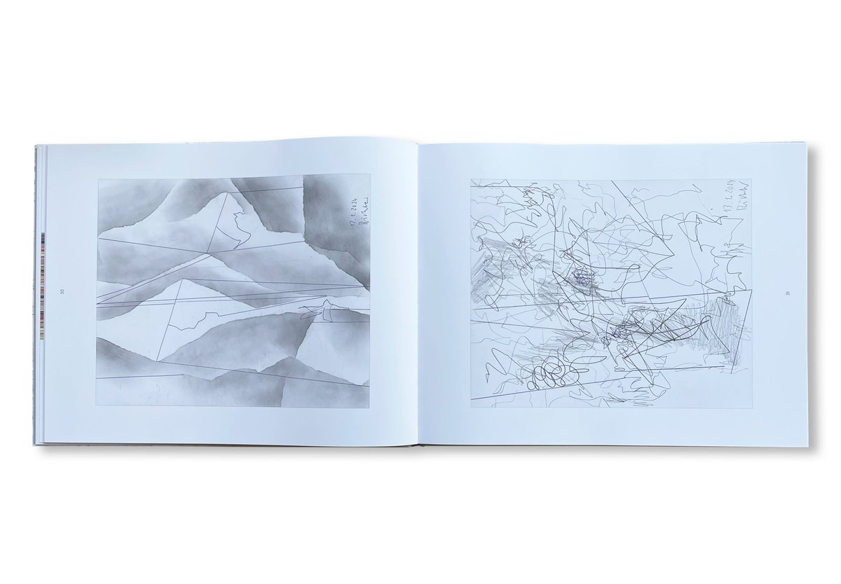 GERHARD RICHTER: 81 ZEICHNUNGEN - 1 STRIP-BILD