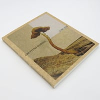 細野晴臣 架空ジャケット画集 Imaginary Record Covers | 誠光社 通信販売