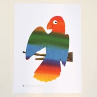 BRUNO MUNARI ポスター "Parrot"