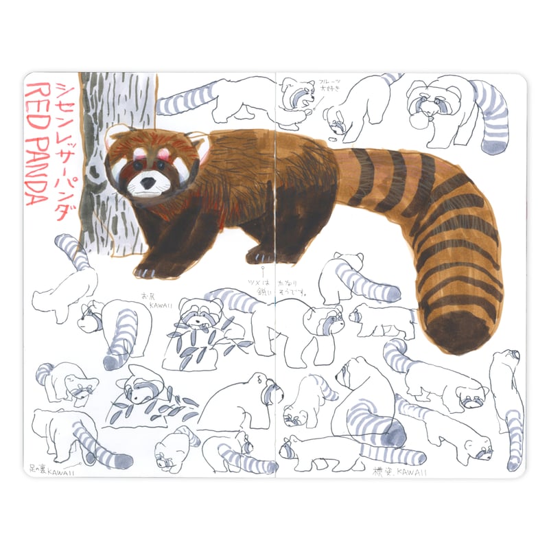 SKETCH FROM THE ZOO | 誠光社 通信販売