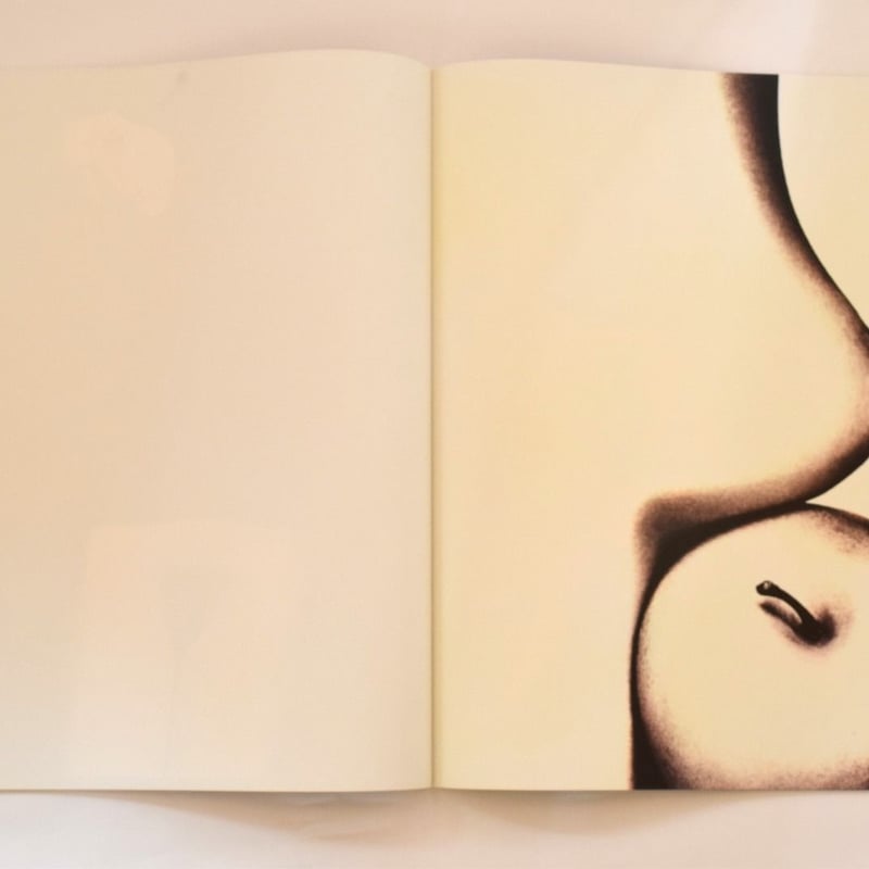 HASKINS POSTERS(1972年デッドストック) | 誠光社 通信販売 HASKINS POSTERS(1972年デッドストック) | 誠光社 通信販売