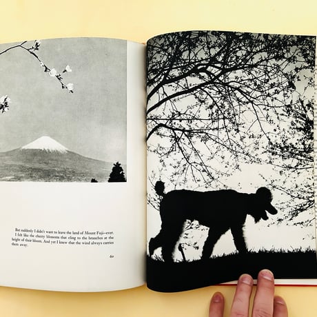 A DOG'S GUIDE TO TOKYO