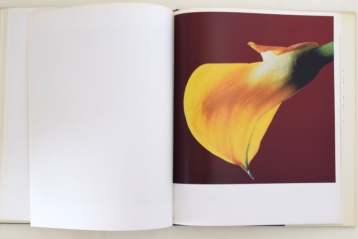 FLOWERS MAPPLETHORPE | 誠光社 通信販売