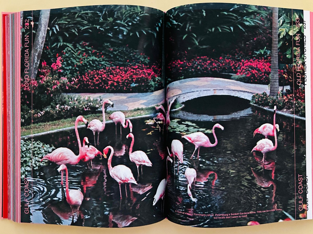 フロリダ様 FLORIDA! | 誠光社 通信販売