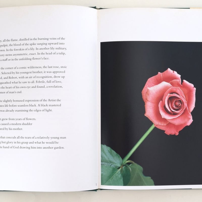 FLOWERS MAPPLETHORPE | 誠光社 通信販売