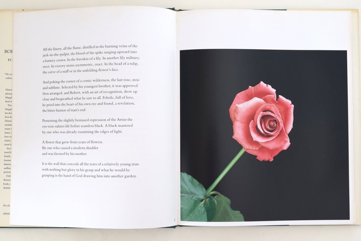 FLOWERS MAPPLETHORPE | 誠光社 通信販売