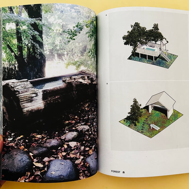 Towards a Nude Architecture 裸の建築 | 誠光社 通信販売