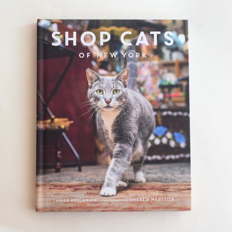 SHOP CATS OF NEW YORK