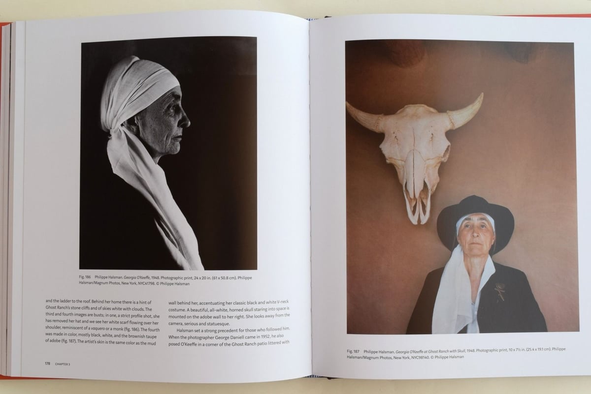 ia O'Keeffe:Living Modernジョージア・オキーフ 新刊・未開封）georgia o'keeffe living modern 絵画 ジョージアオキーフ