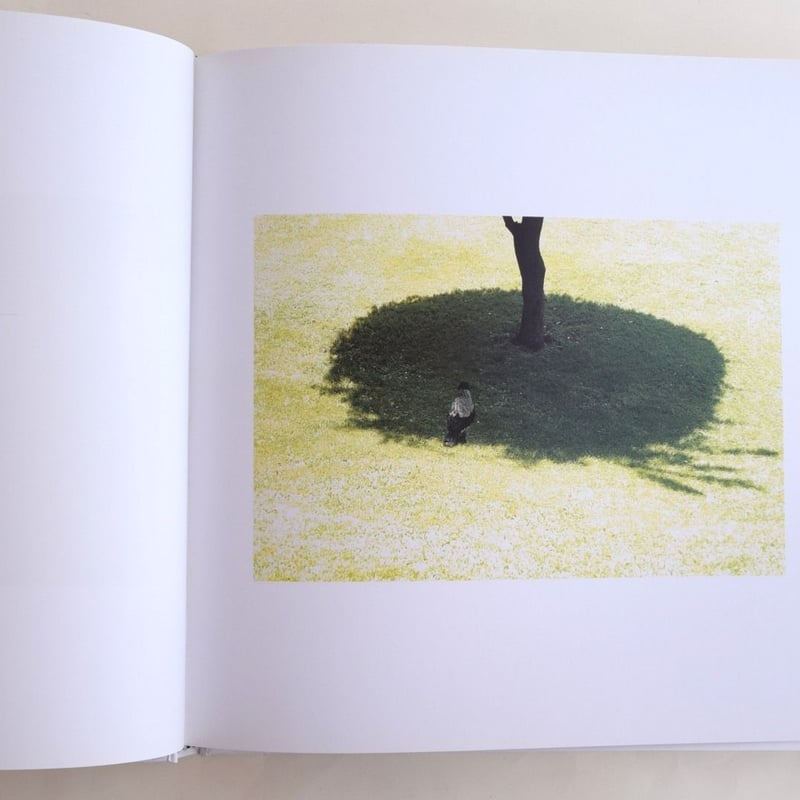 新品 アッバス・キアロスタミ写真集 'PLUIE ET VENT' Amazon.co.jp: アッバス キアロスタミ写真集 'PLUIE ET VENT